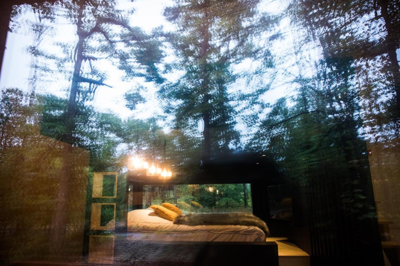 Forest Cube Oignies المظهر الخارجي الصورة